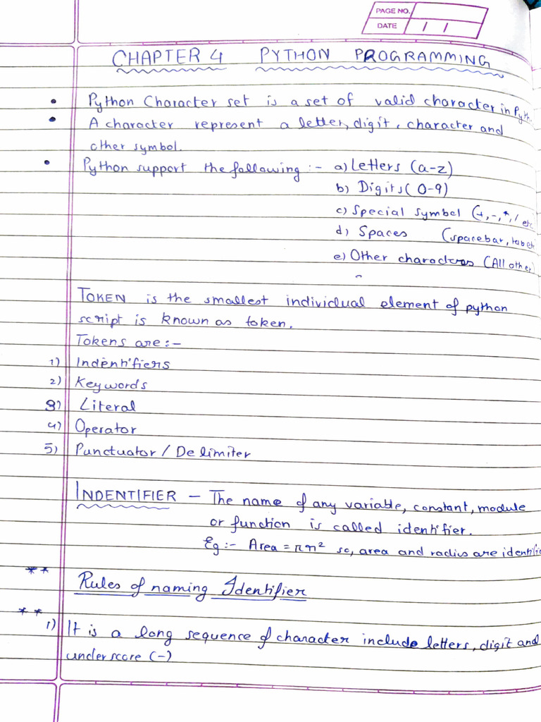 Python Programming Basics | PDF