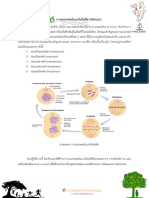 การแบ่งเซลล์แบบไมโทซิส