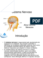 Aula 4. Sistema Nervoso