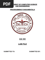 Co 101 Lab File