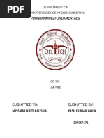 PDF Document