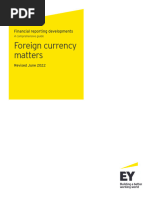 EY Foreign Currency Matters