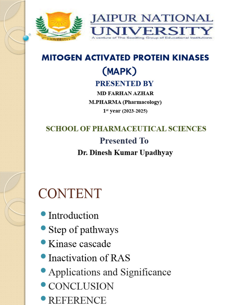 MITOGEN ACTIVATED PROTEIN KINASES PDF Kinase Mitogen Activated