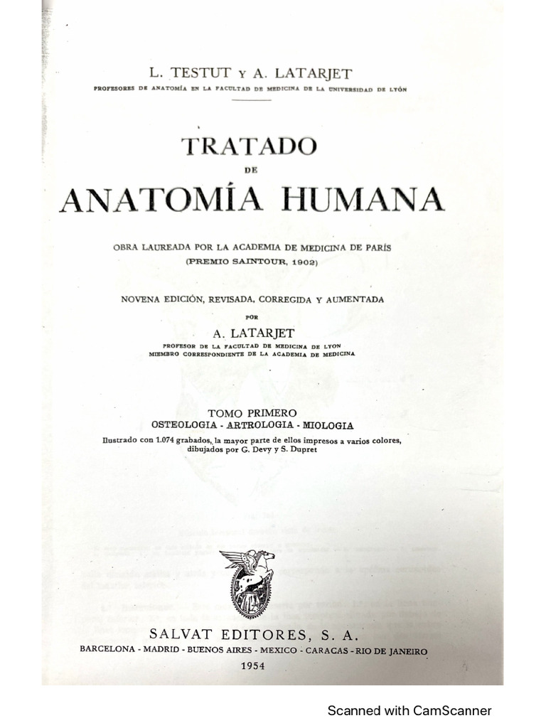 TRATADO DE ANATOMIA DYCE PDF visual data 7