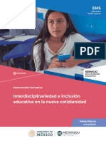 Intervencion Interdisciplinariedad Docentes Servicio Ems