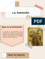 Amnesia