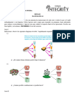 Repaso - Matemáticas - 2do Bloque - Sofía PDF