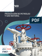 Guia Produccion de Petroleo y Gas Natural