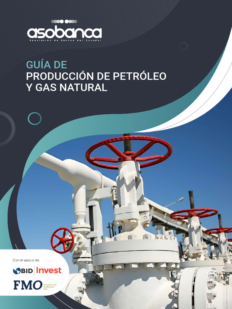 Guia Produccion de Petroleo y Gas Natural | PDF | Petróleo | Gas natural