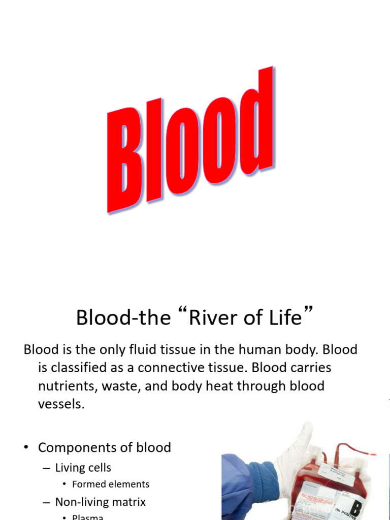 Blood Components PDF Blood Red Blood Cell