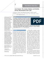 2014 Concise Review The Surface Markers and Identity of Human Mesenchymal Stem Cells (STEM CELLS)