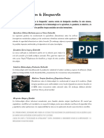 Documento Sin Título