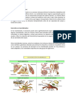 Tarea Petty