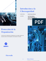 Proteccion-de-la-Organizacion 9