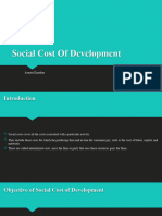 Social Cost of Development