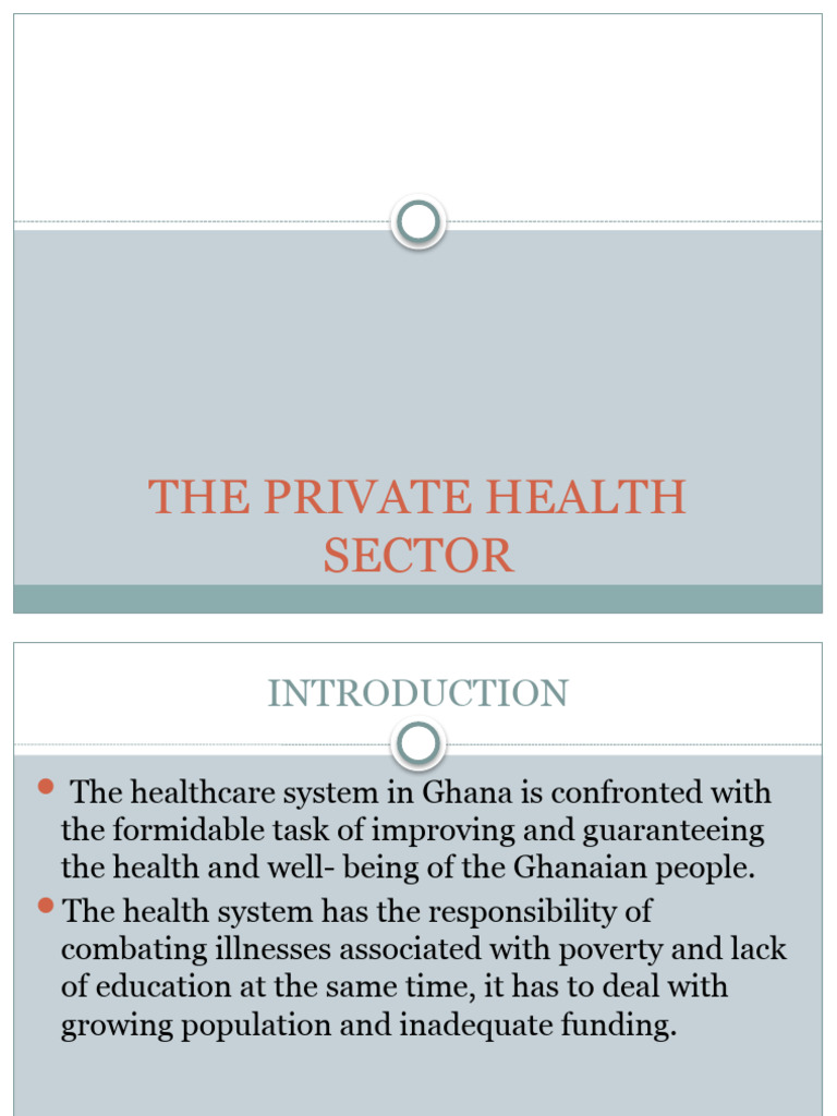 The Private Health Sector | PDF