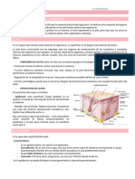 T3-Sistema Teggumentario