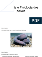 Anatomia e Fisiologia Dos Peixes