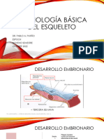 Embriología Básica Del Esqueleto