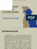 Salud Ocupacional - Presentacion