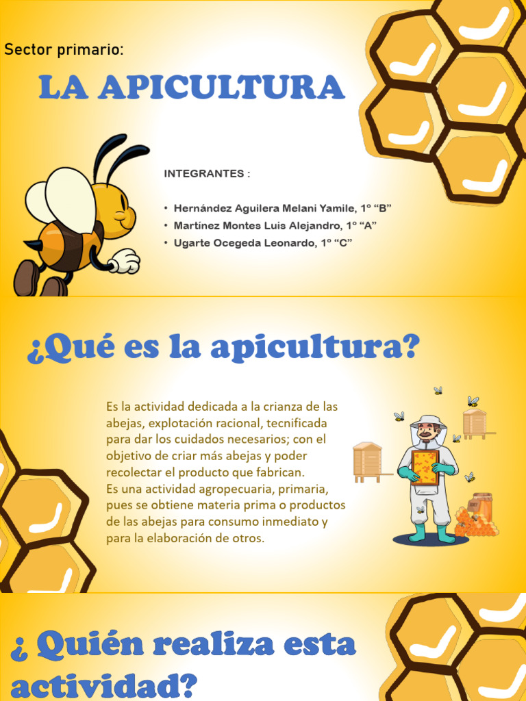 Introducción a la Apicultura y su Importancia | PDF | Apicultura | Miel