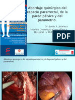 Dr. Jesús S. Jiménez Sección Oncología Ginecológica. Hospital 12 Octubre. Madrid