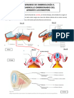 Seminario de Embriología 