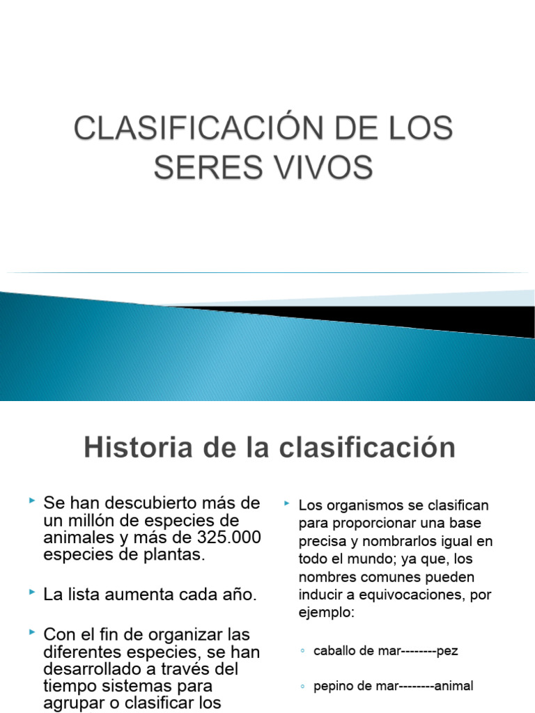 Clasificacion De Los Seres Vivos Pdf Biología Taxa