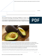 Avocado Farming Straining Chilean Water Supplies