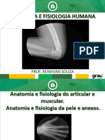 3 Aula de Anatomia e Fisiologia Humana PDF