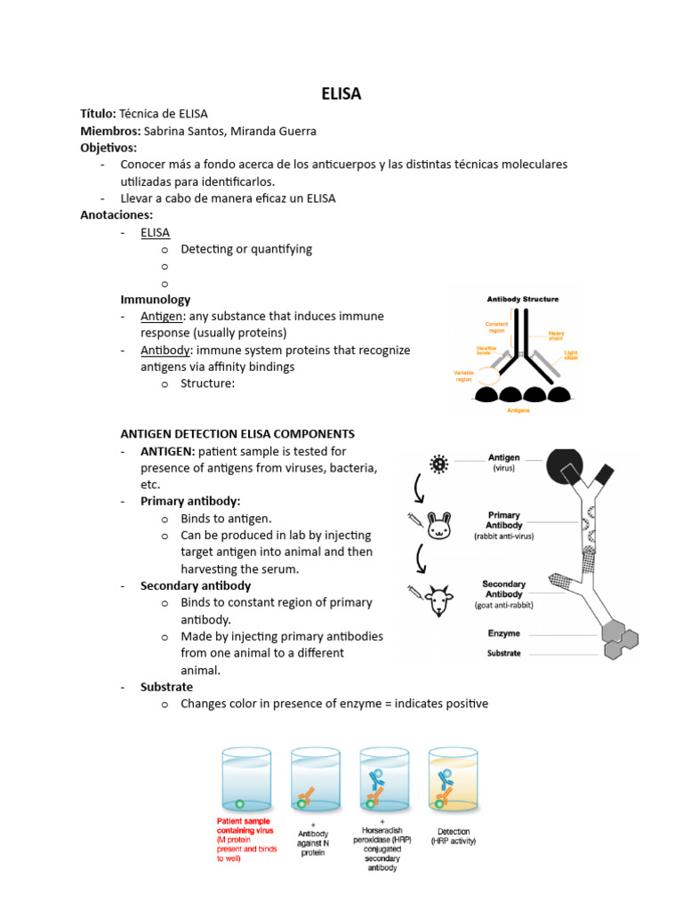 ELISA Teoría | PDF | Elisa | Biology 