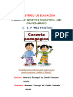 Ciclo Iv y Ciclo V - Carpeta - Pedagógica - Mis Pasitos