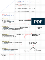 Glucolisis y Fermentacion