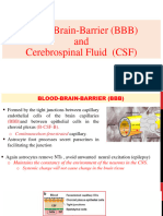 Blood Brain Barrier and Neurotransmitter 1