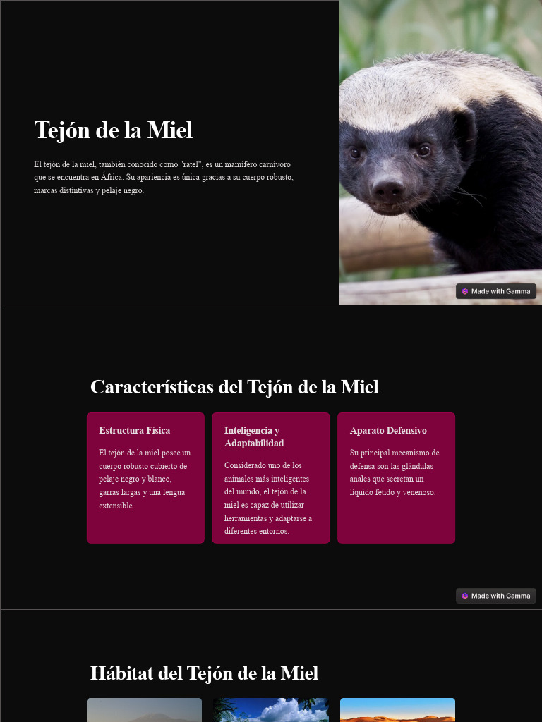 Tejon de La Miel | PDF | Miel | Organismos, image size:768x1024