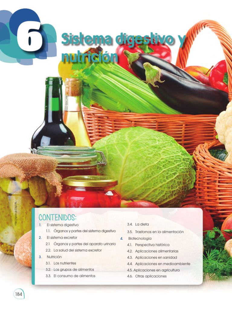 biologia-1-bgu-descargar-gratis-pdf-ri-n-sistema-urinario