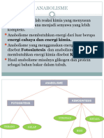 Anabolism e