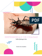 Enfermedad de Chagas