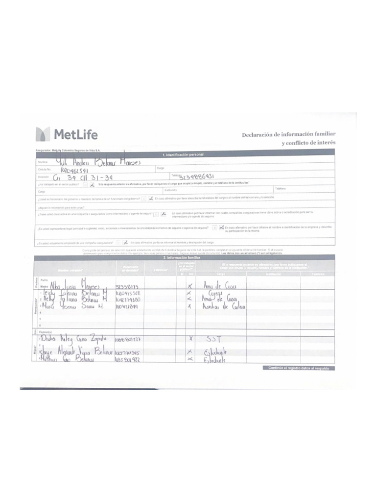 Met Life | PDF