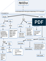 Mapa Conceptual de Las Proteinas 3