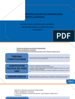 Sesion 13 Tutela de Derechos Economicos y Organos Competentes