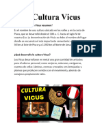 Cultura Vicu1