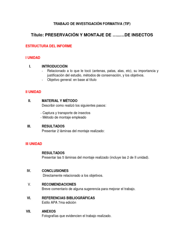 Formato de Presentación Del Tif | PDF
