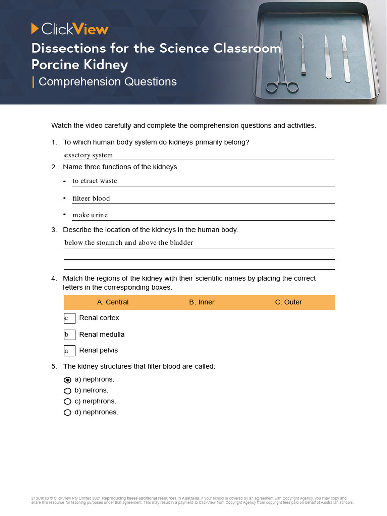 Types Of Comprehension Questions Pdf With Answers