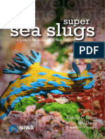 Super Sea Slugs - Version 1 - 2020