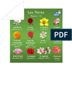 Tipos de Flores