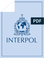 Interpol NEYC BG