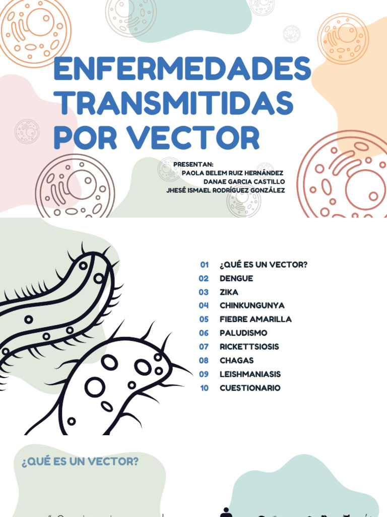 Enfermedades Transmitidas por Vectores | PDF | Fiebre del zika | Virus Zika
