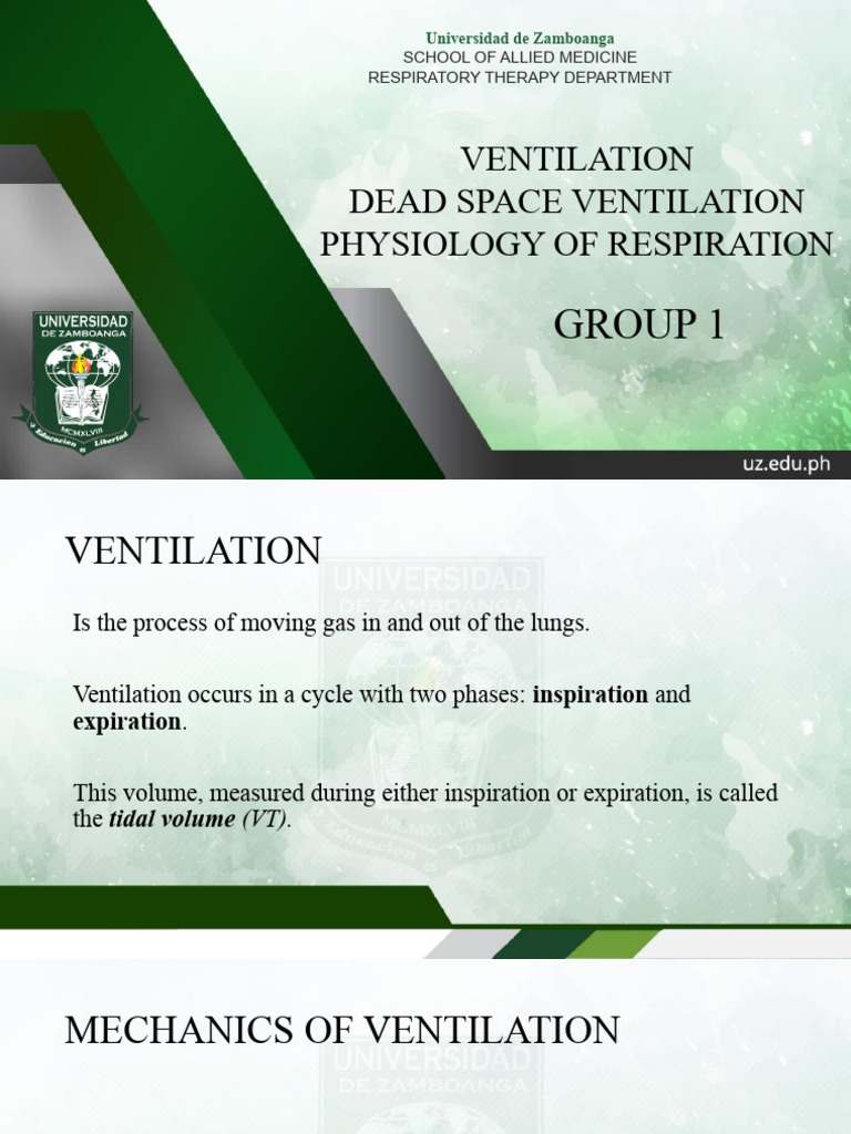 Ventilation Dead Space Ventilation Physiology of Respiration PDF Breathing Lung