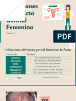 009 Infecciones Del Tracto Genital Femenino